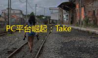 PC平台崛起：Take-Two CEO Zelnick看好3A大作在PC的未来